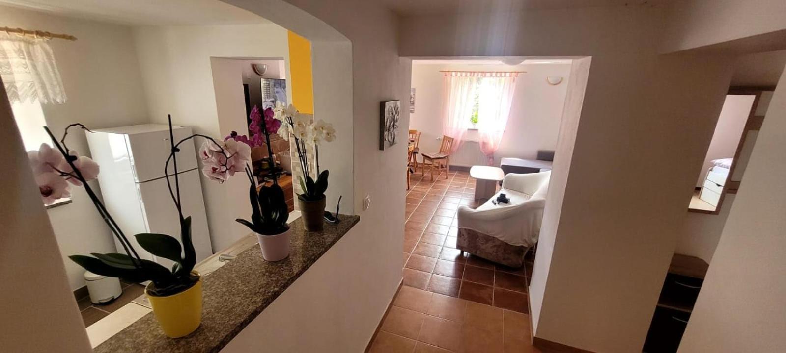 Apartma Brin Bovec Zewnętrze zdjęcie
